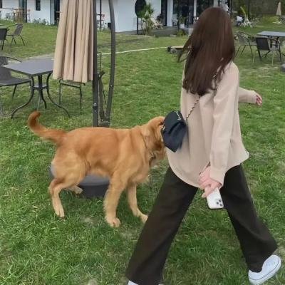 真情错爱